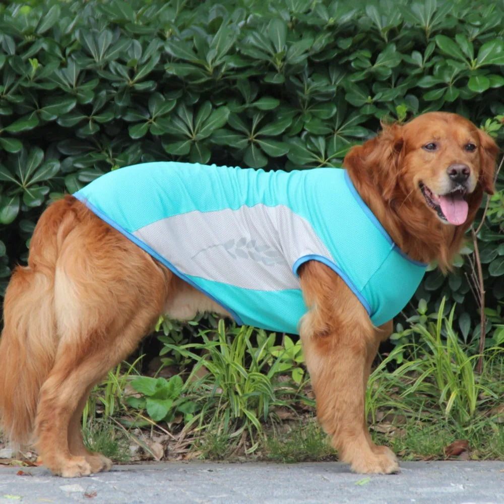 Cooling Pet Vest