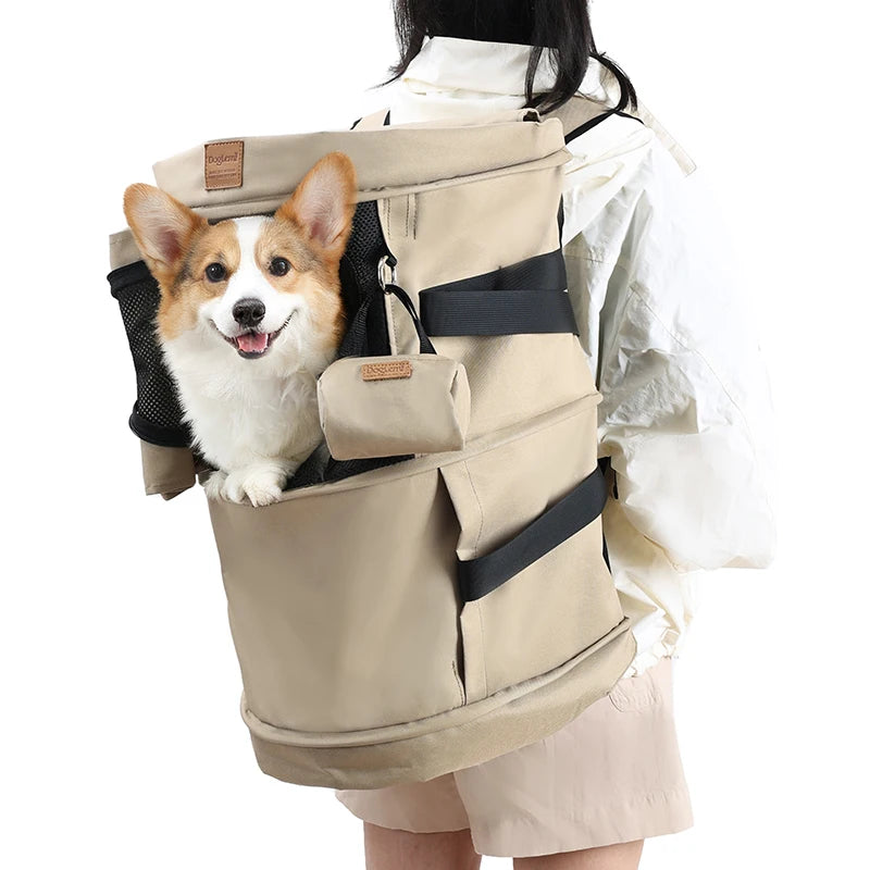 2-in-1 Pet Carrier Backpack & Tote Bag