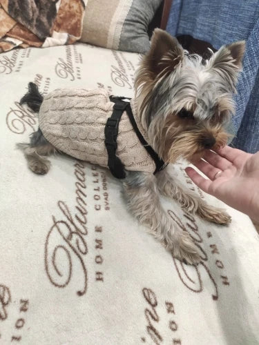 Knitted Pet Sweater