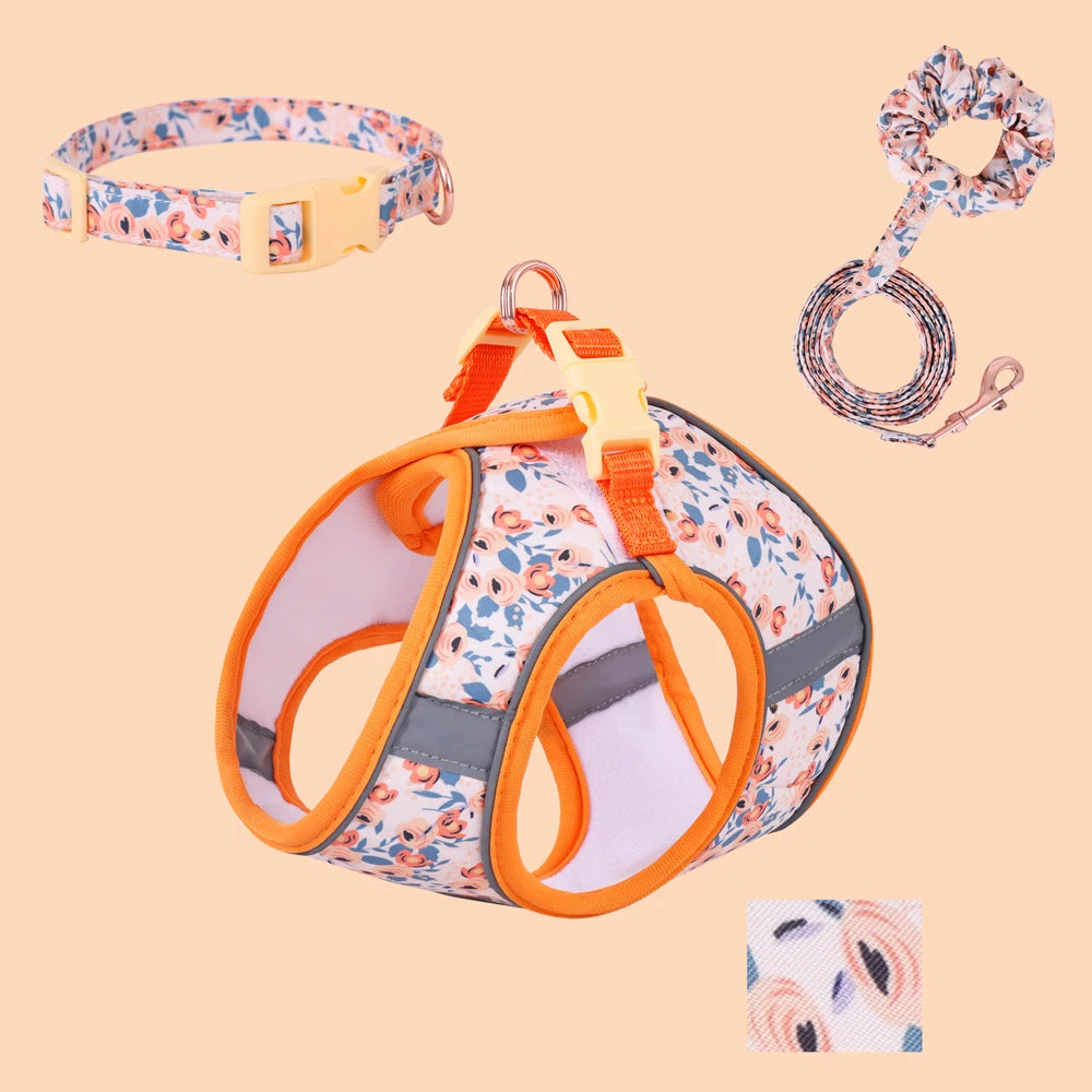 Soft Adjustable Dog Harness & Leash Set