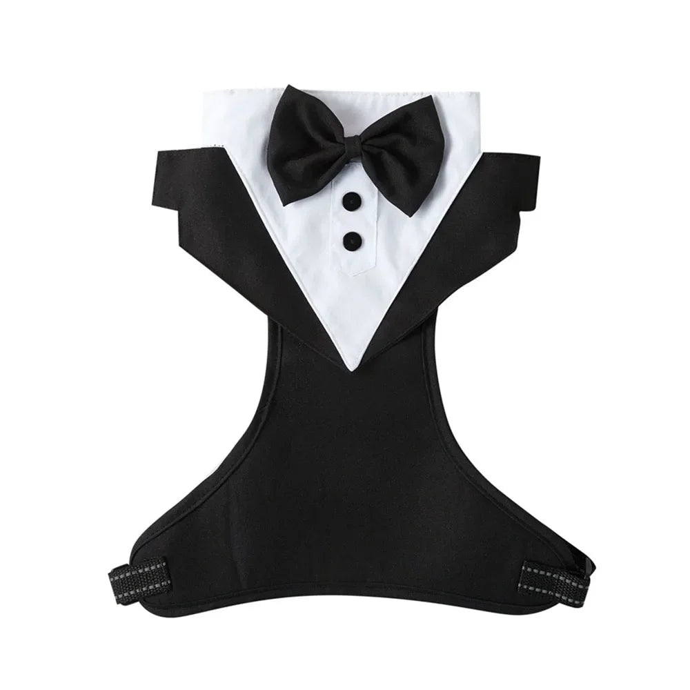 Dog Tuxedo Suit