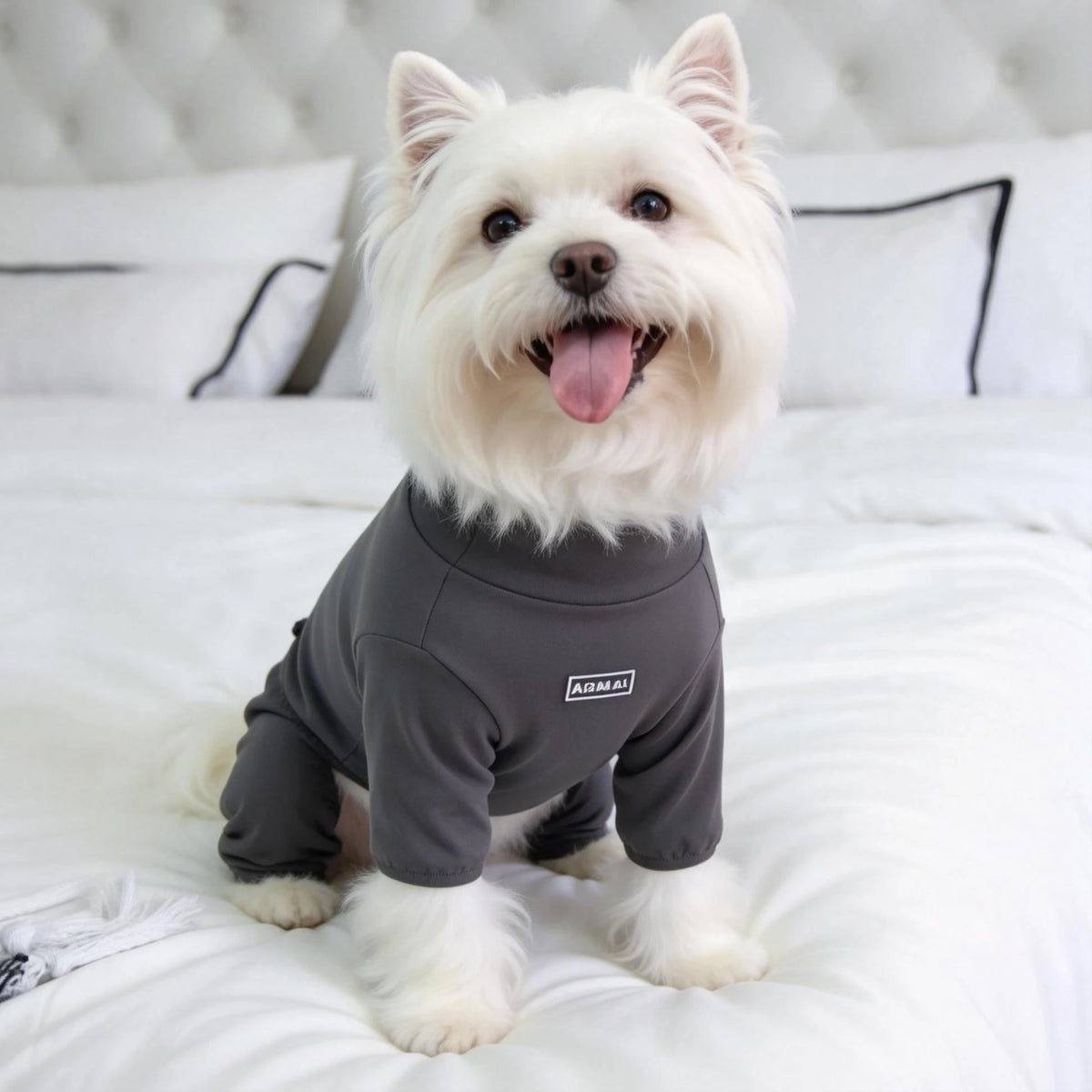Pet Pajamas
