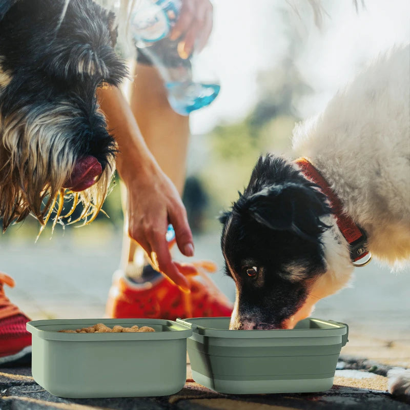2-in-1 Foldable Pet Travel Bowls