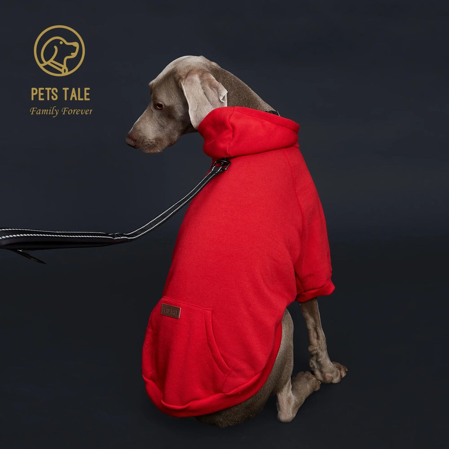 Dog Hoodie with Pocket