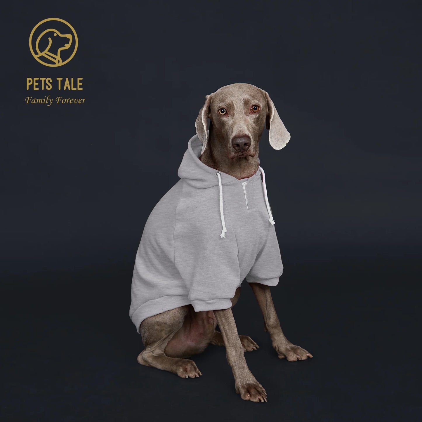 Dog Hoodie with Pocket