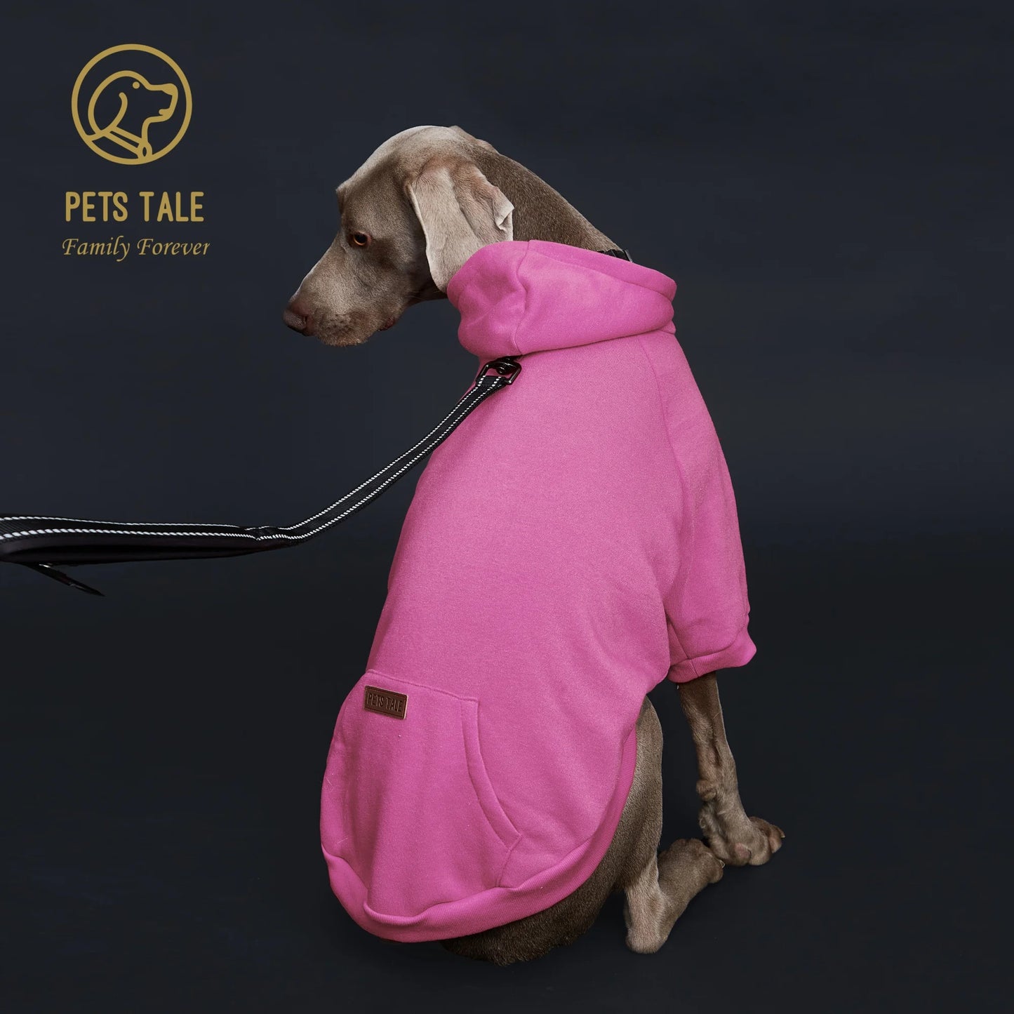 Dog Hoodie with Pocket