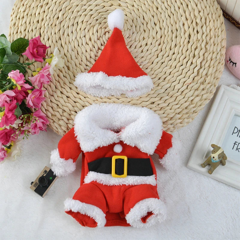 Santa Pet Costume