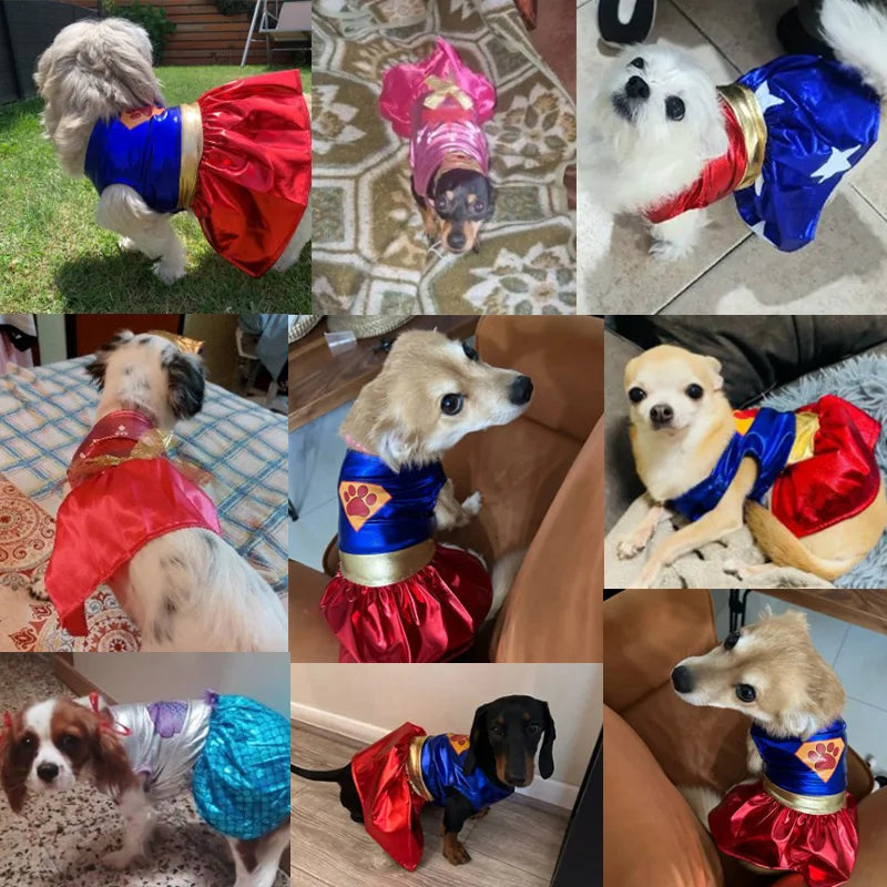 Halloween Pet Dress