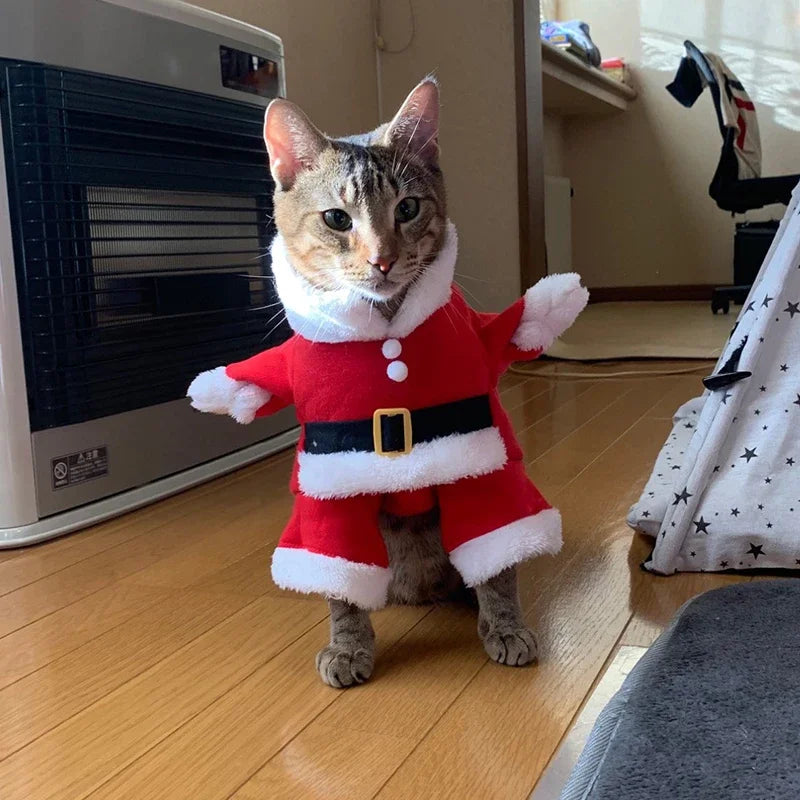 Santa Pet Costume
