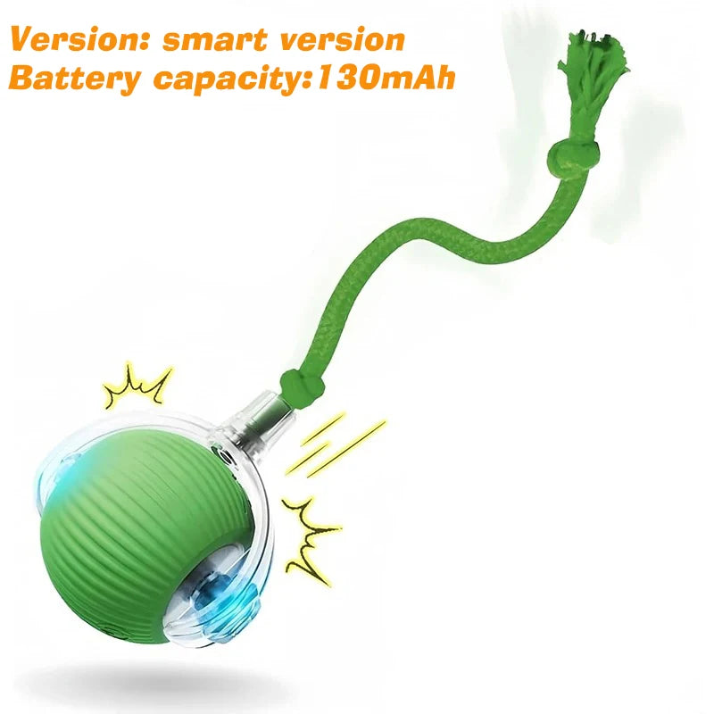 Automatic Rechargeable Interactive Dog Ball Toy