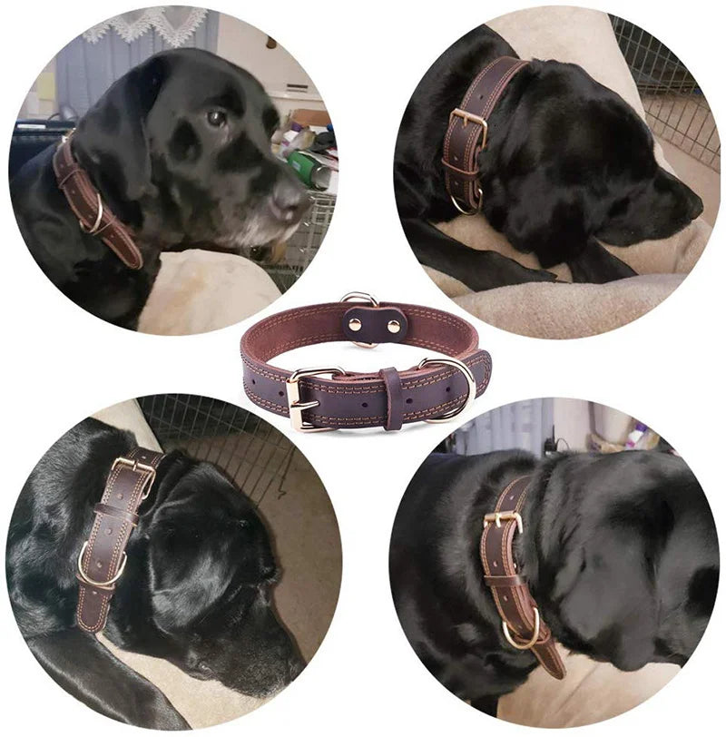 Genuine Leather Heavy-Duty Dog Collar