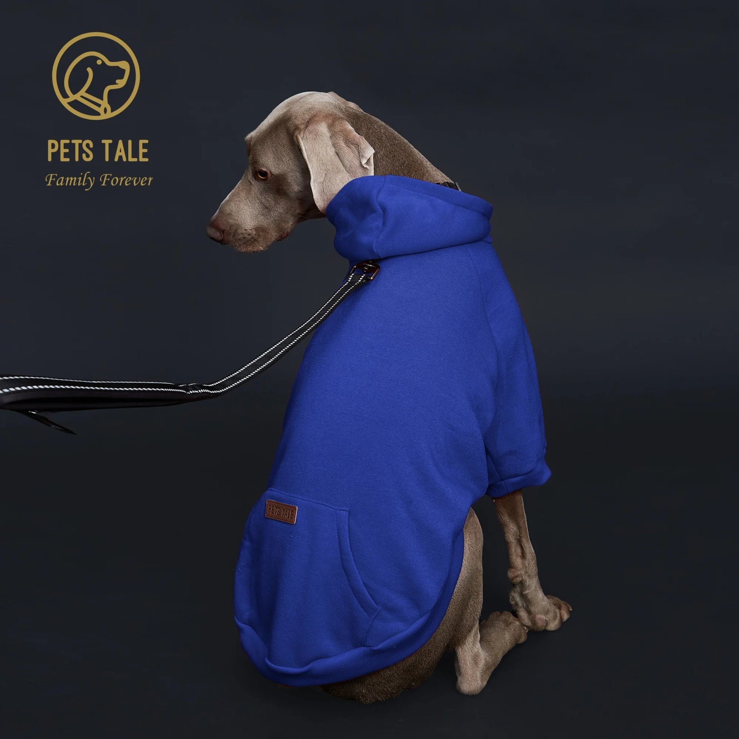 Dog Hoodie with Pocket