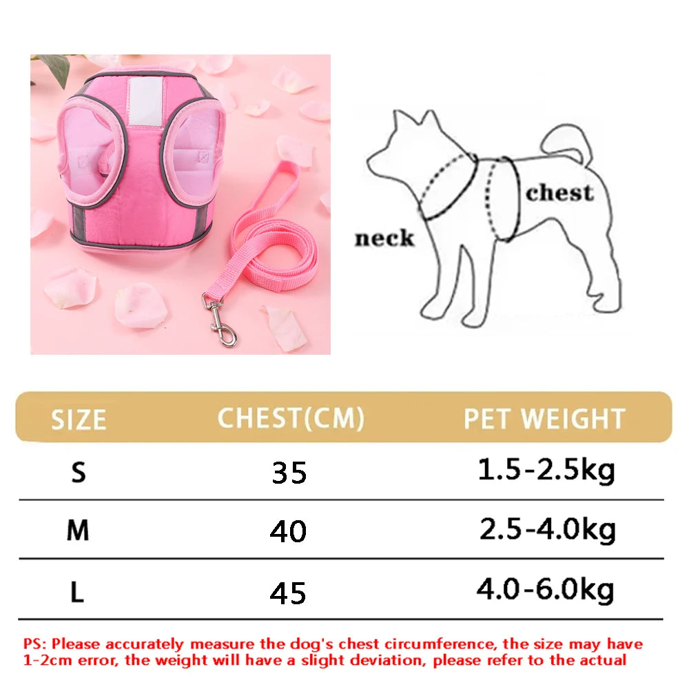 Soft Adjustable Dog Harness & Leash Set