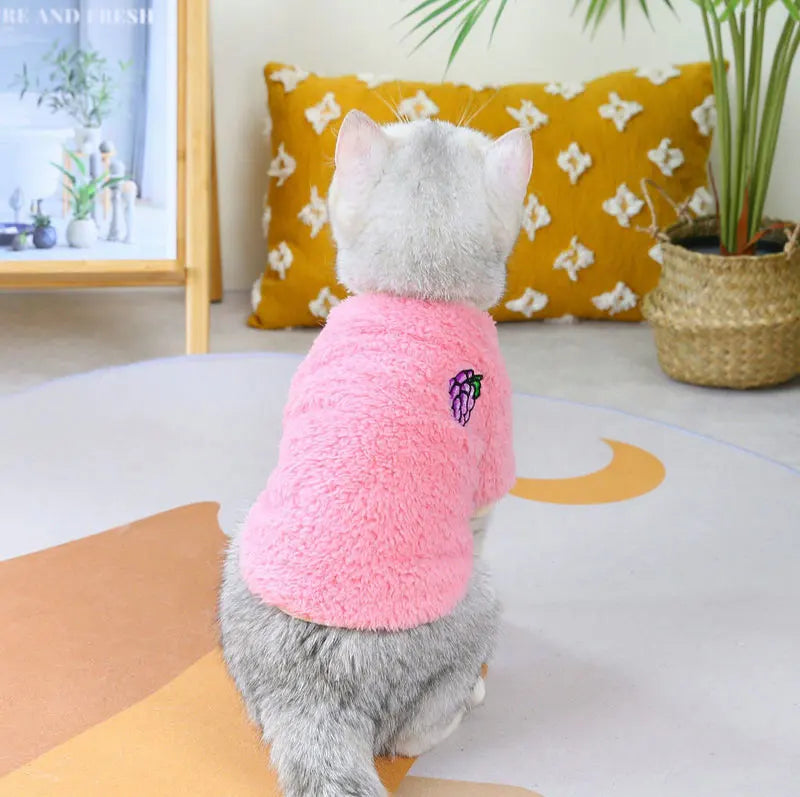 Fruit Print Pet Hoodie