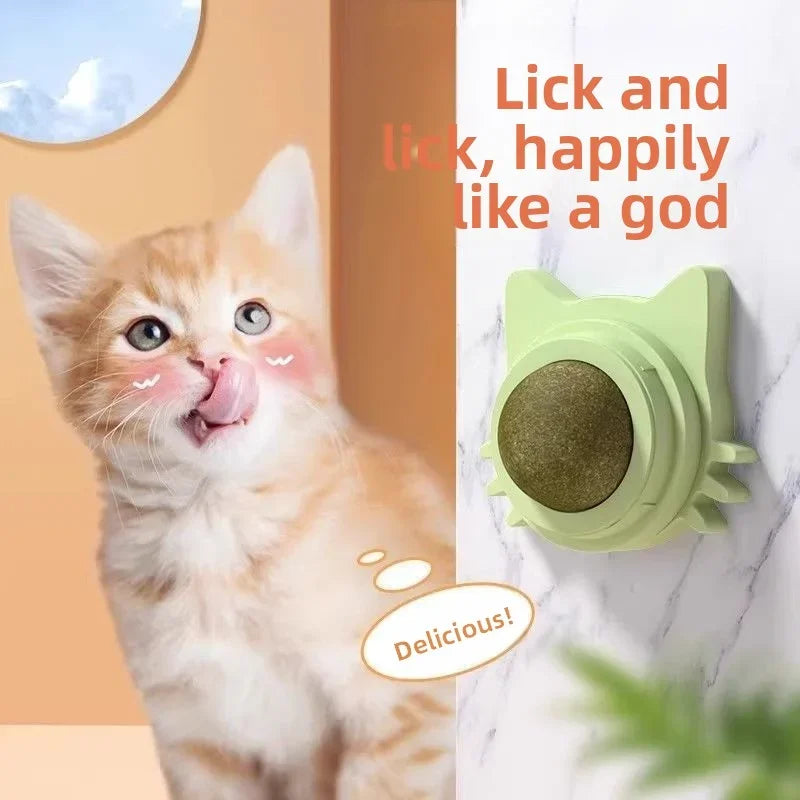 Rotatable Wall-Mounted Catnip Ball Toy