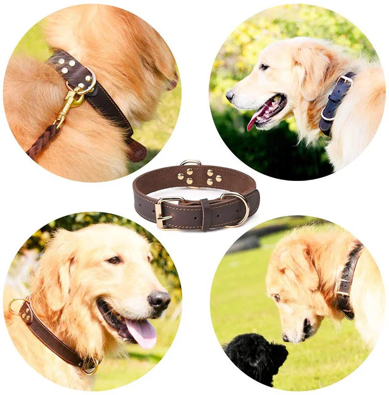 Genuine Leather Heavy-Duty Dog Collar