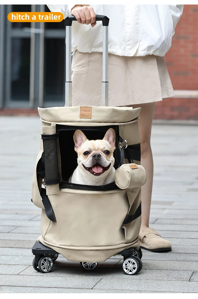 2-in-1 Pet Carrier Backpack & Tote Bag