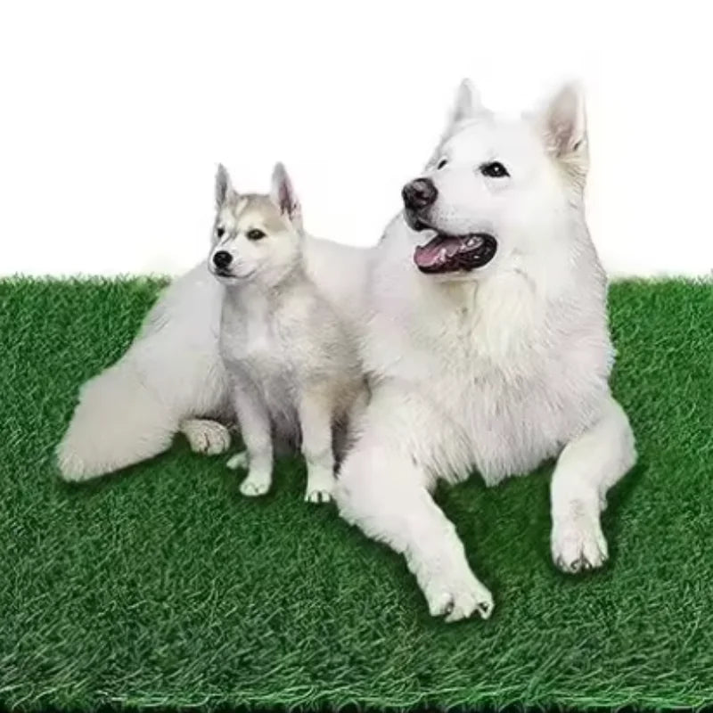 Reusable Artificial Grass Dog Toilet Training Mat
