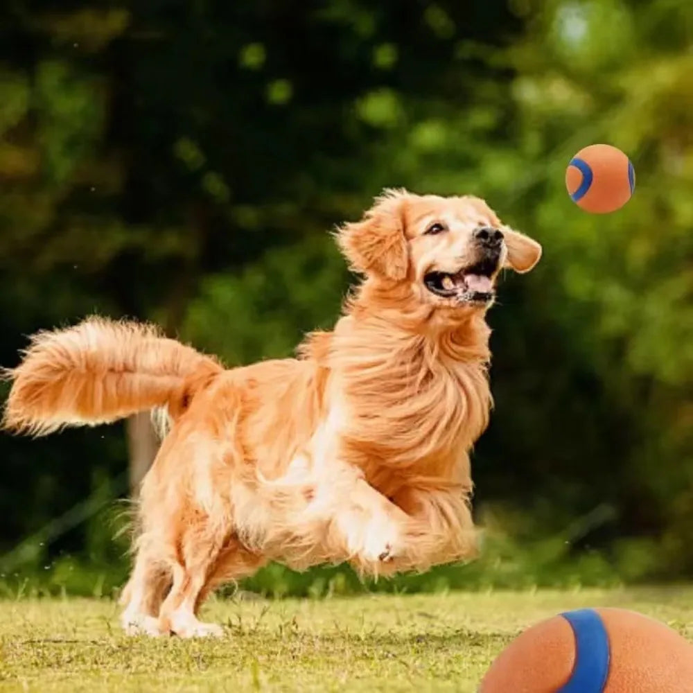 Durable Dog Fetch Ball Toy