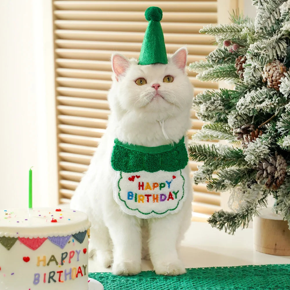 Pet Birthday Hat & Scarf Set