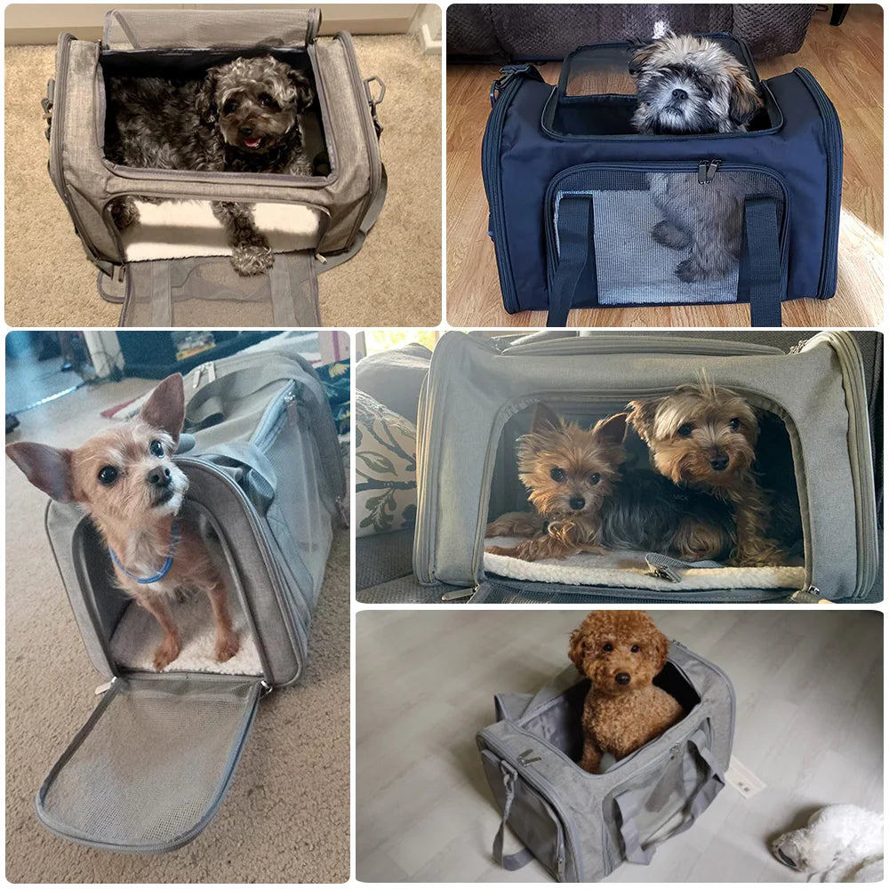 Airline-Approved Pet Carrier Backpack