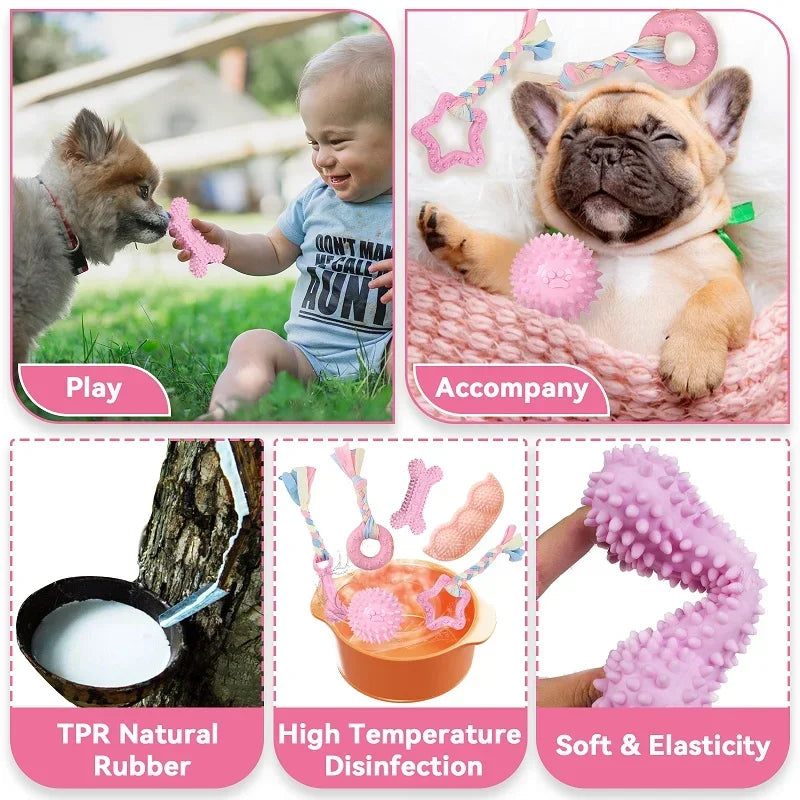 Dog Dental Chew Toy Set
