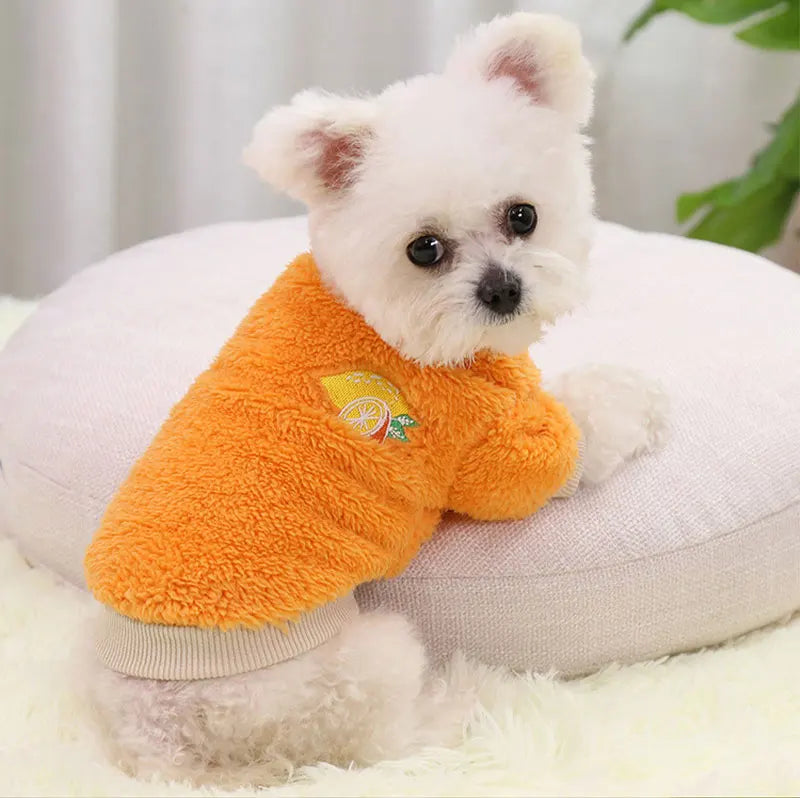 Fruit Print Pet Hoodie