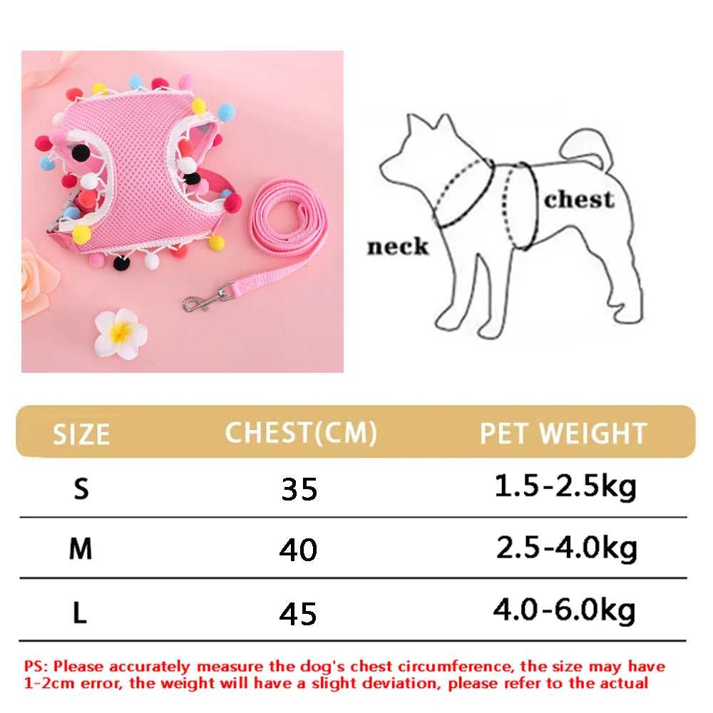 Soft Adjustable Dog Harness & Leash Set