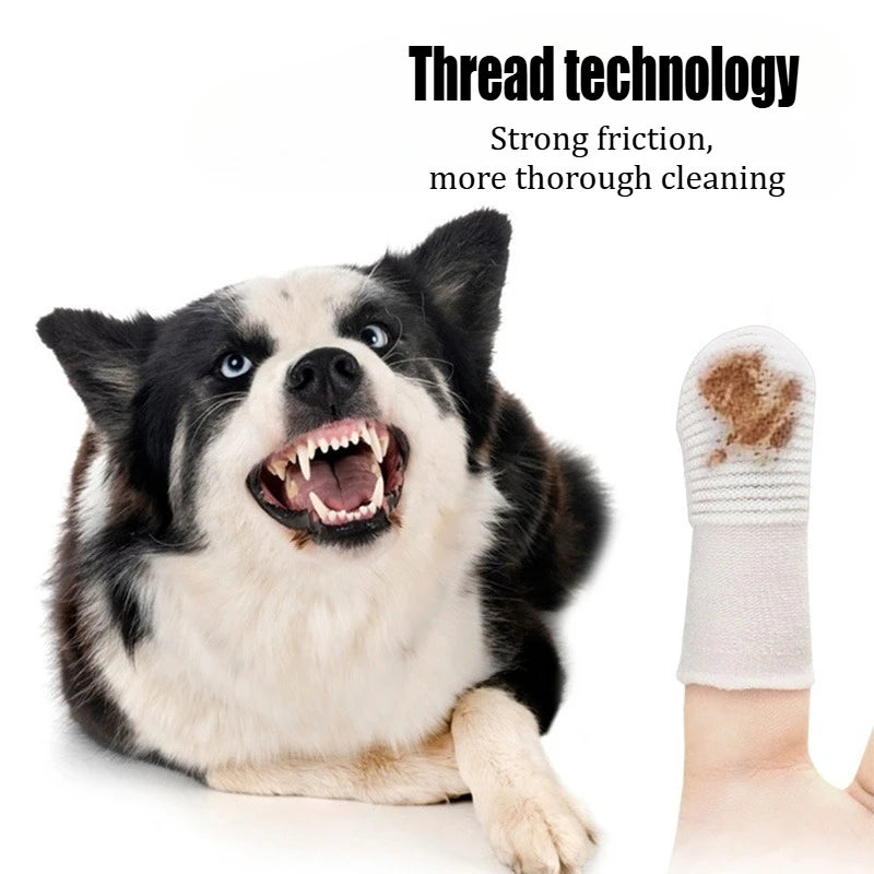 Pet Finger Toothbrush Set (12/24 pcs)