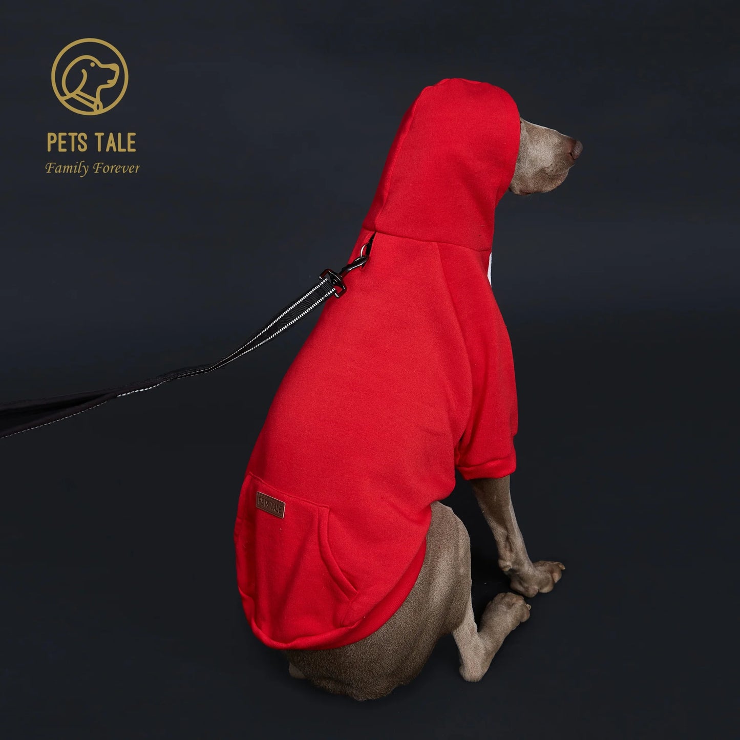 Dog Hoodie with Pocket