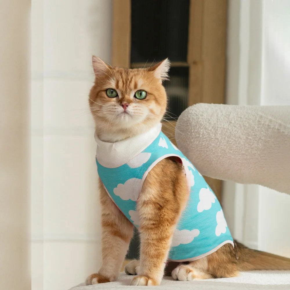 Cat Anti-Lick Recovery Suit