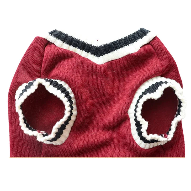 Pet Winter Jacket