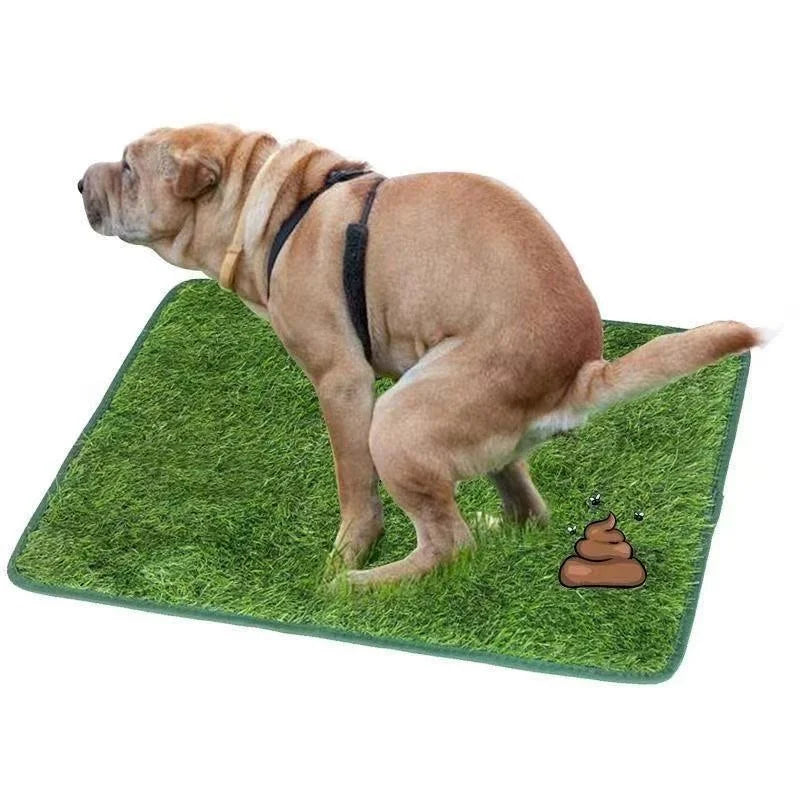 Reusable Artificial Grass Dog Toilet Training Mat