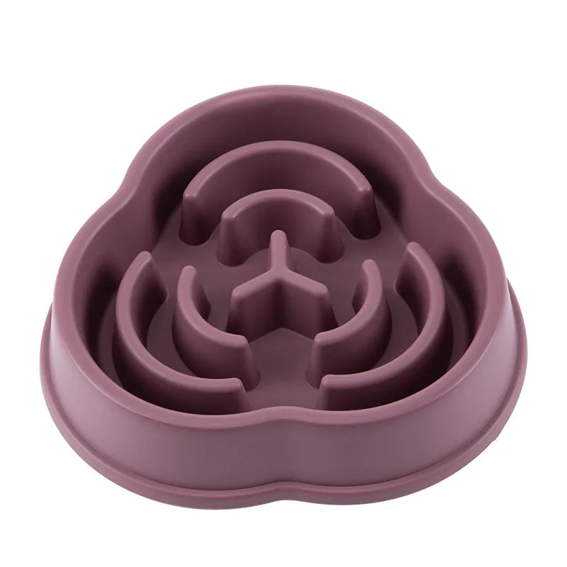 Non-Slip Slow Feeder Bowl for Dogs & Cats