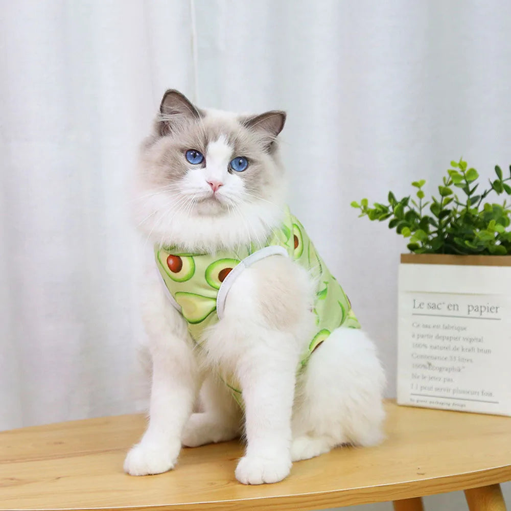 Pet Recovery Vest