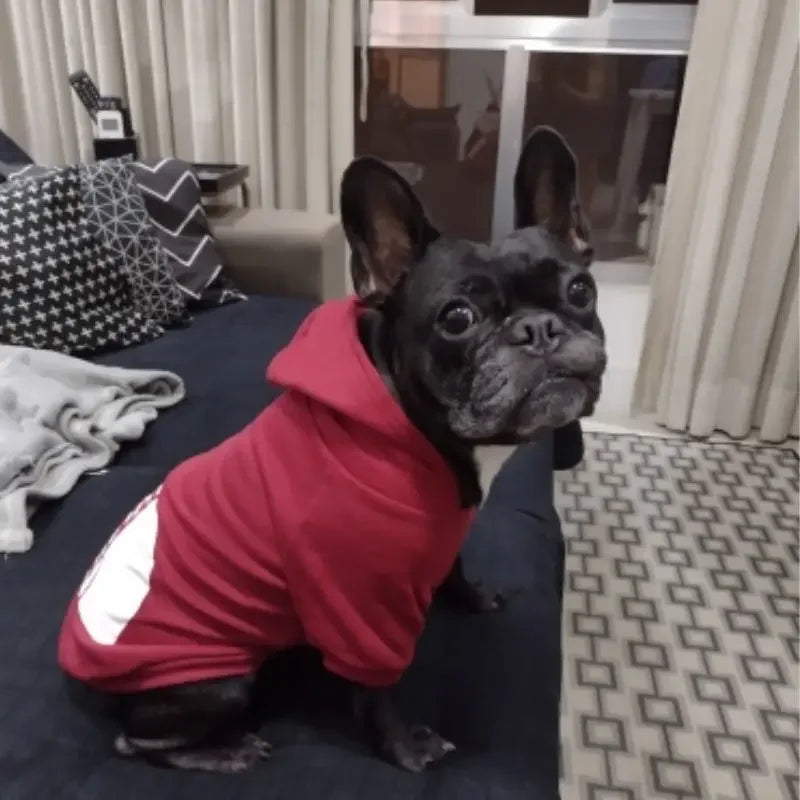 Large Dog Hoodie
