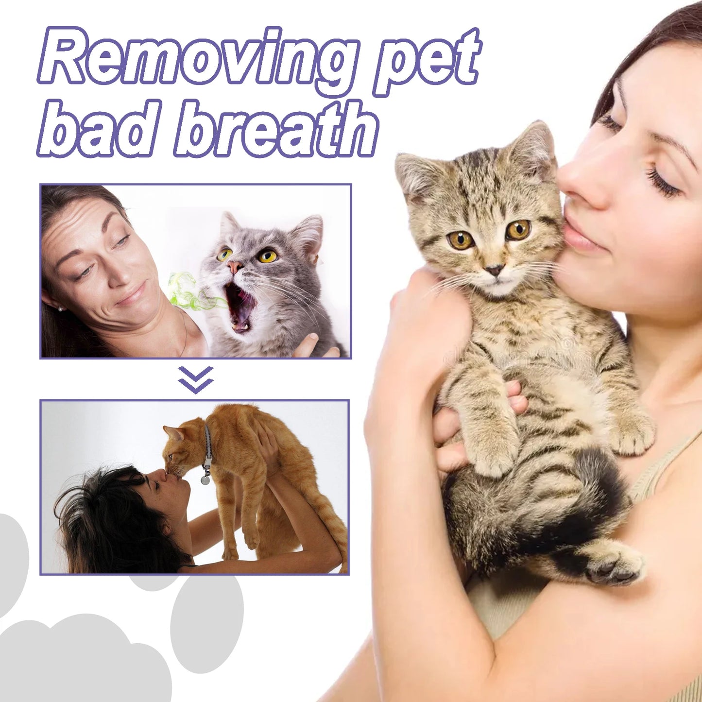 Pet Dental Care Gel Pen (3ml)