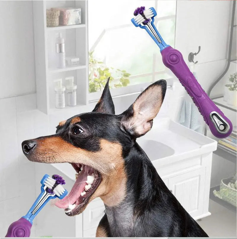 3-Sided Pet Toothbrush