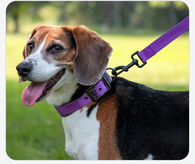 Reflective Padded Heavy-Duty Dog Collar