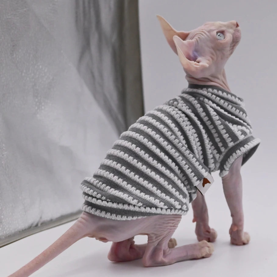 Sphynx Cat Shirt