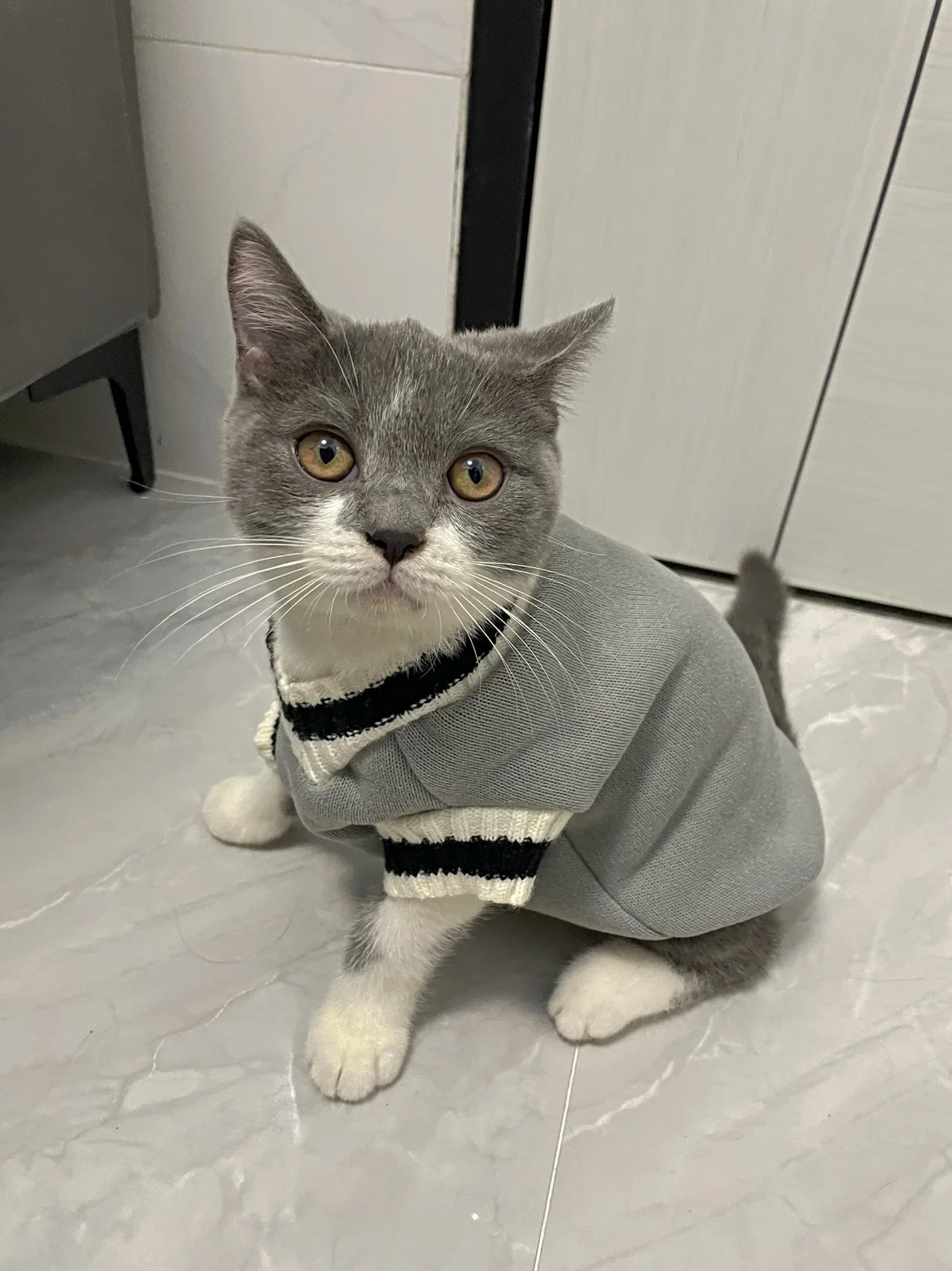 Pet Winter Jacket