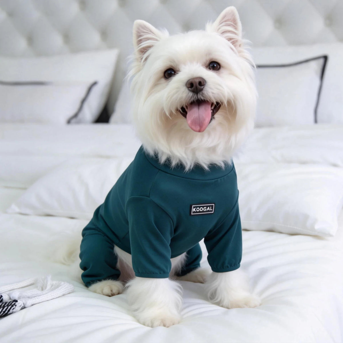 Pet Pajamas