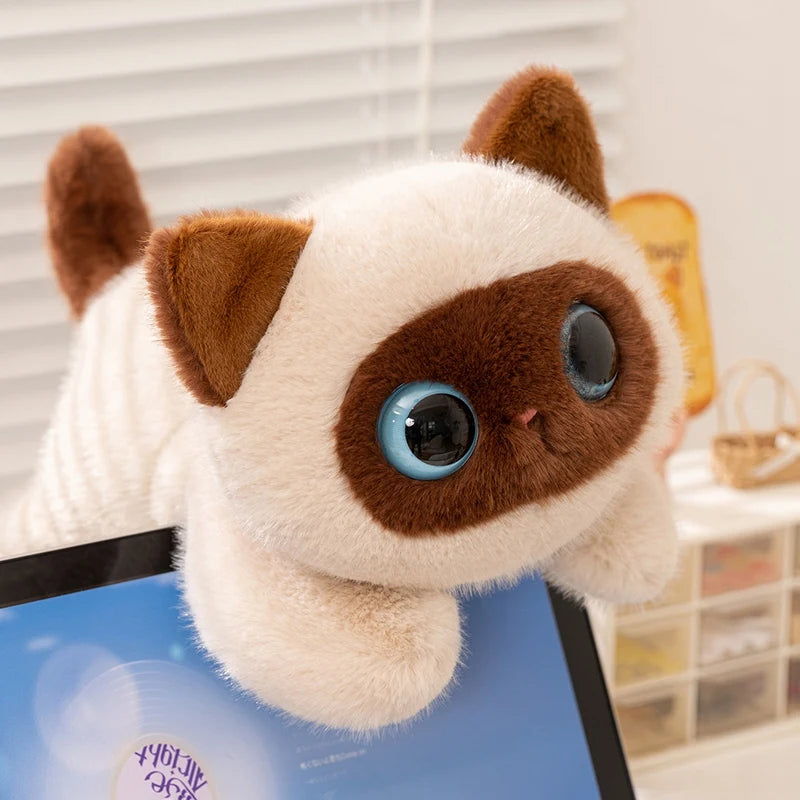 Big Eyes Plush Cat Pillow Toy