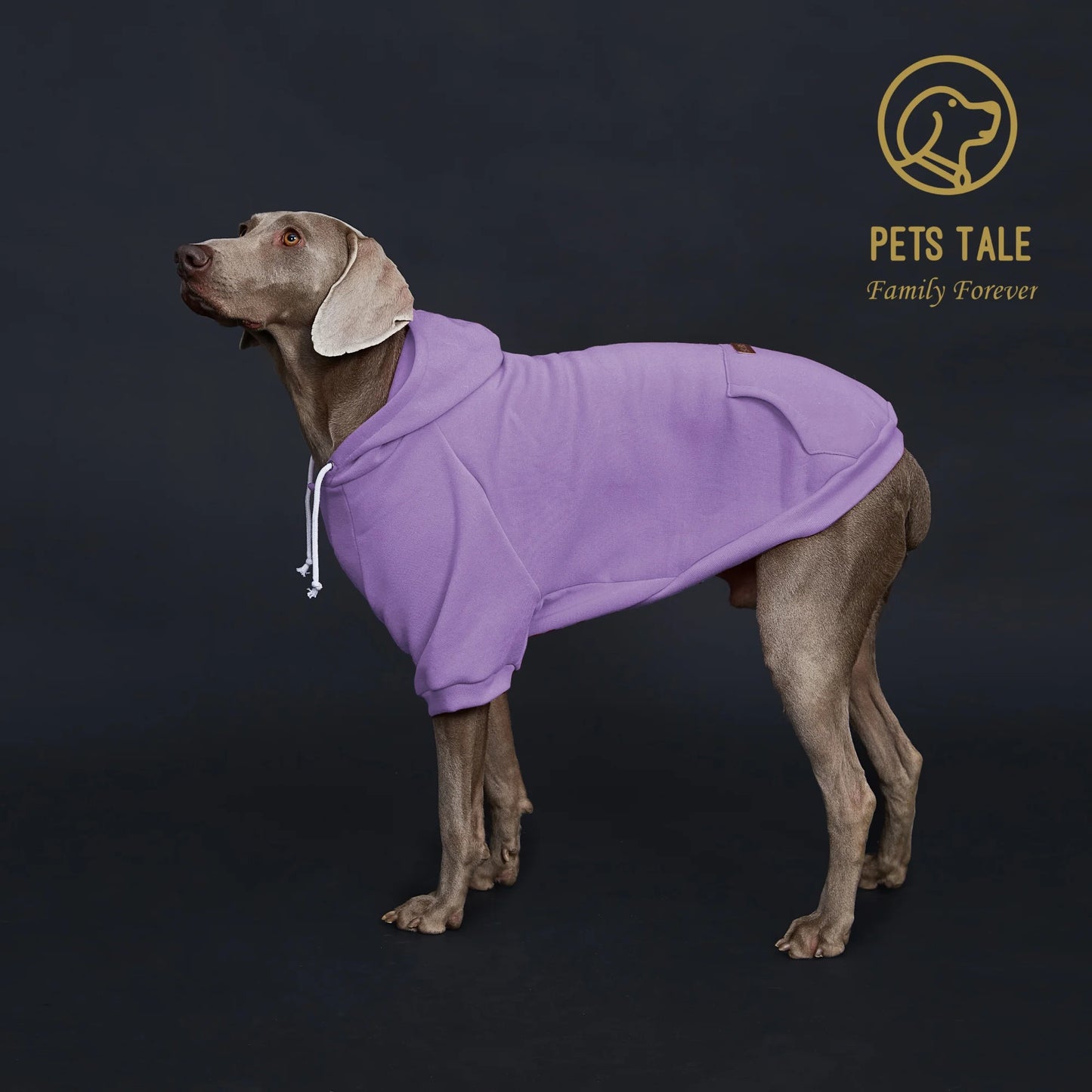 Dog Hoodie with Pocket