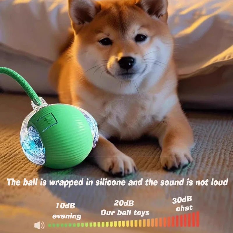 Automatic Rechargeable Interactive Dog Ball Toy