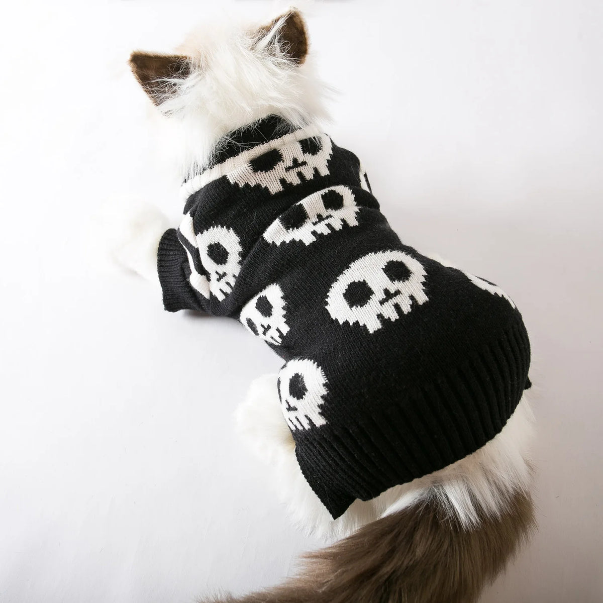 Skull Pet Sweater