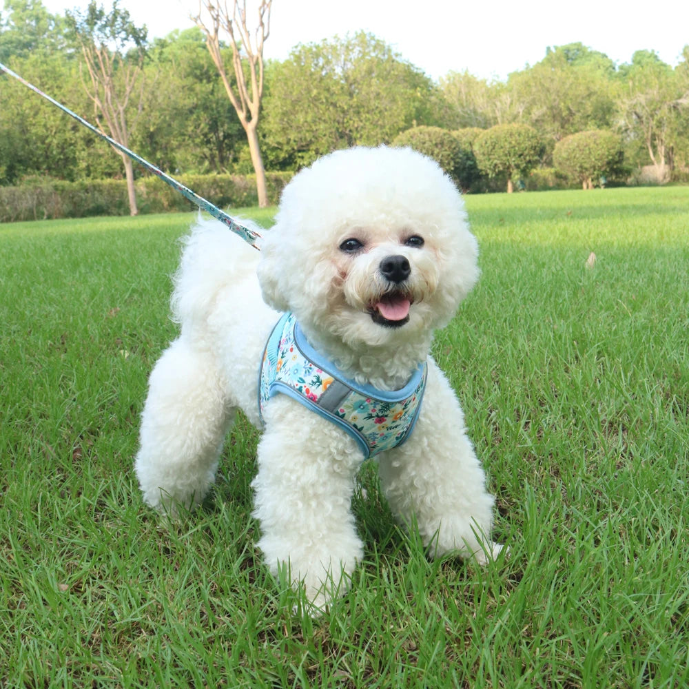 Soft Adjustable Dog Harness & Leash Set