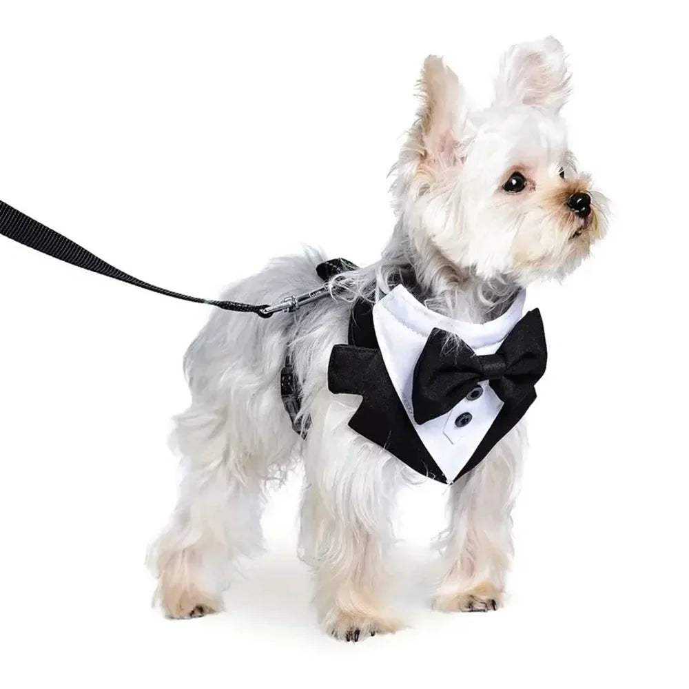 Dog Tuxedo Suit