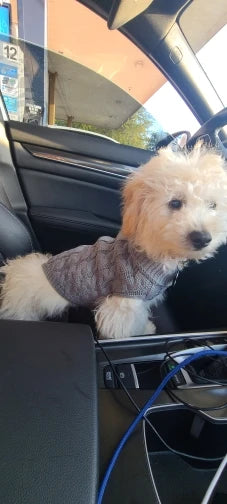 Knitted Pet Sweater