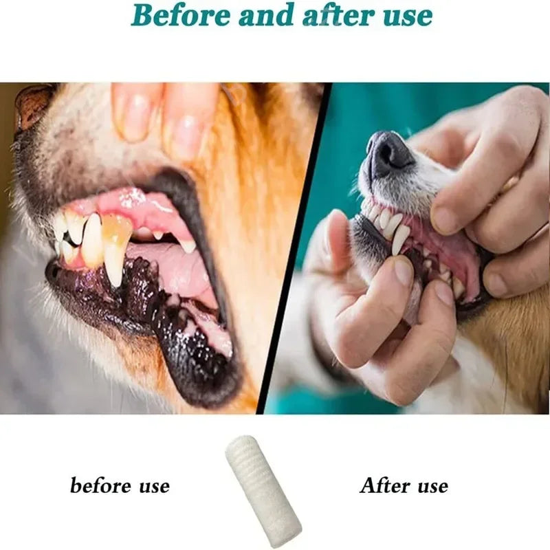 Pet Finger Toothbrush Set (12/24 pcs)